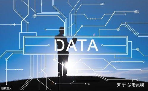 大數據的處理流程與數據處理服務概述